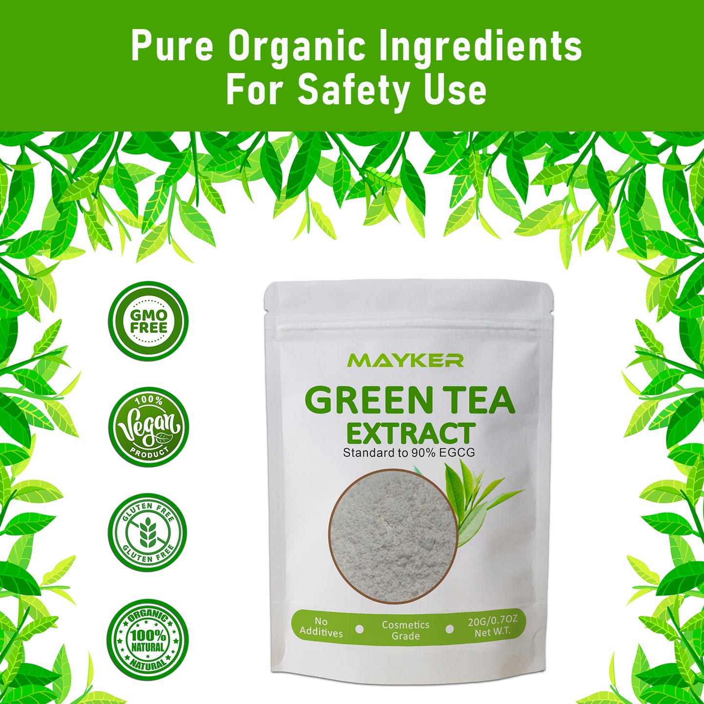 green tea extract powder