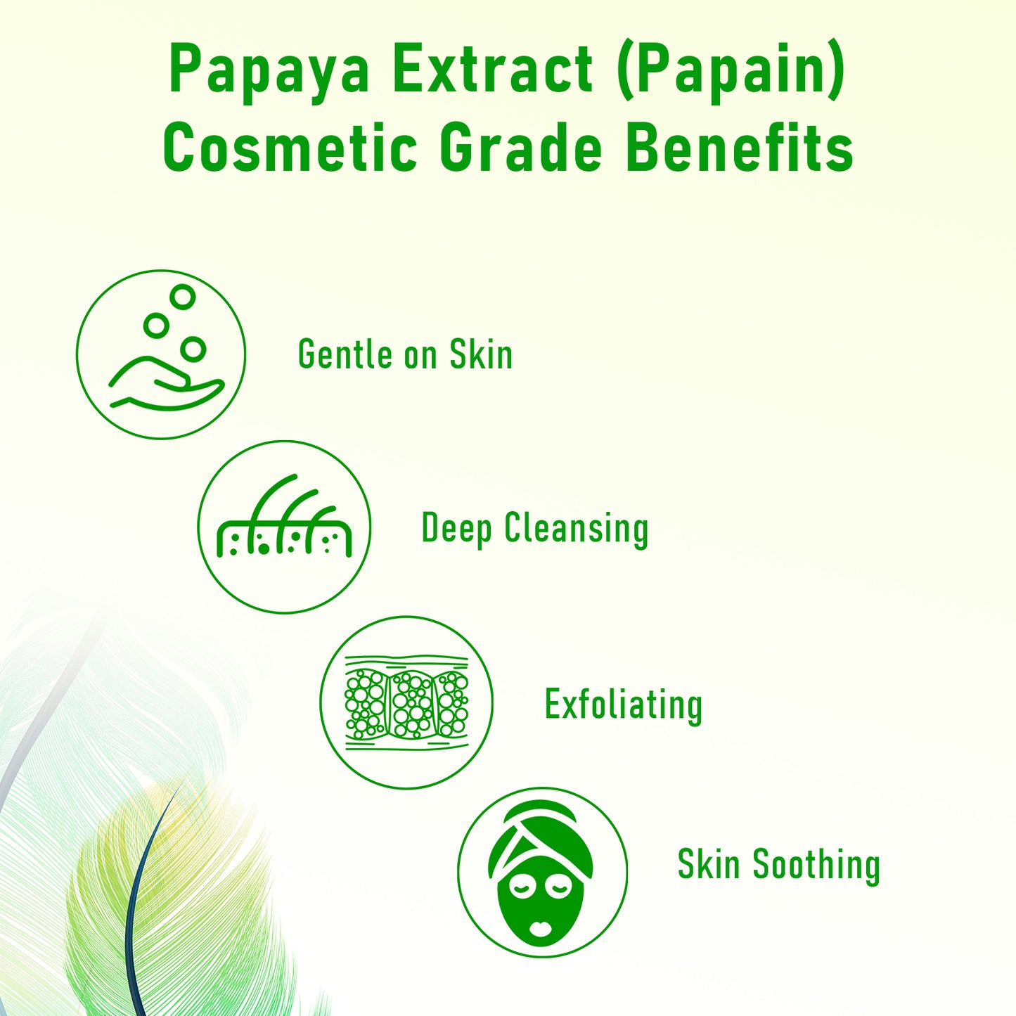 papain enzyme for skin