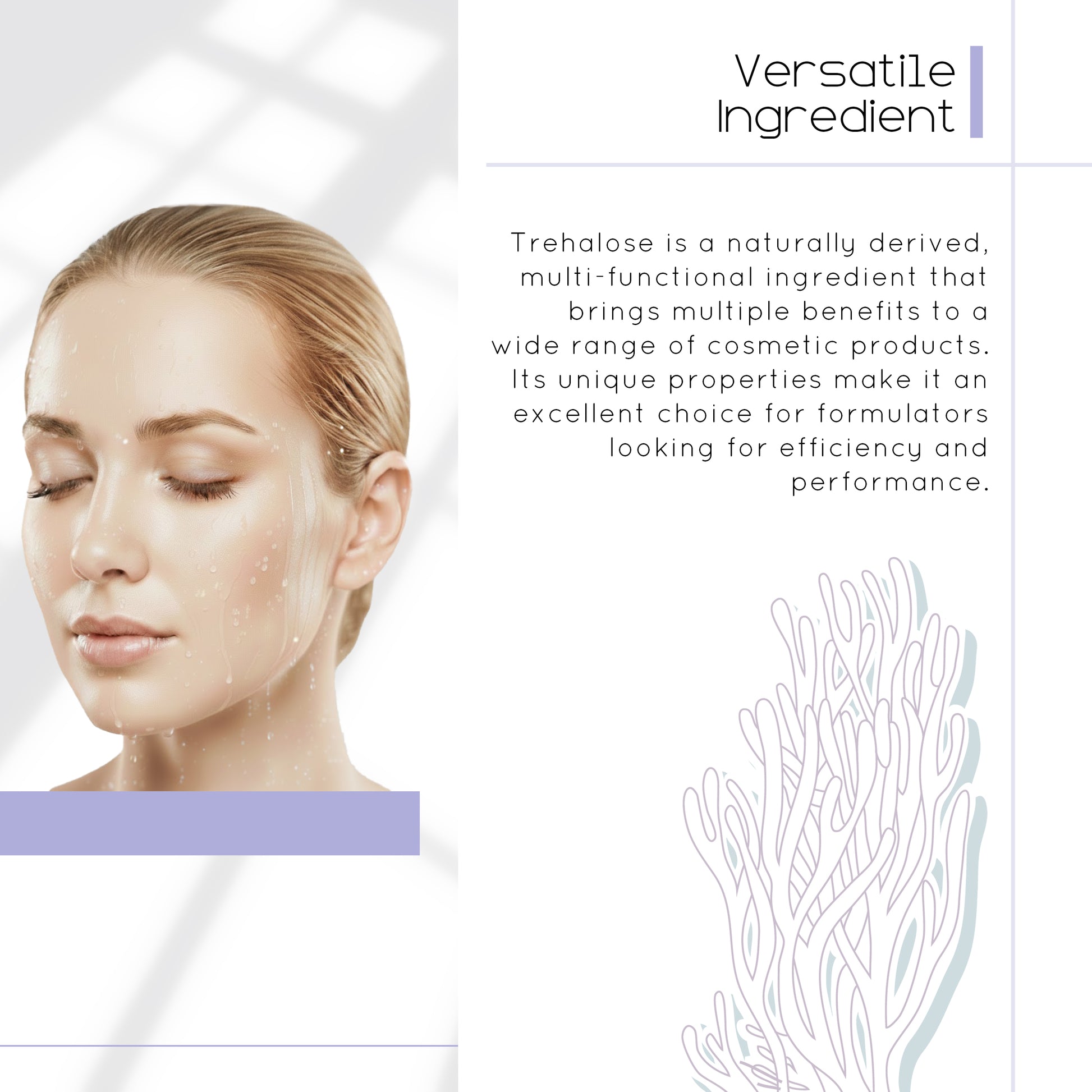 botanical trehalose benefits